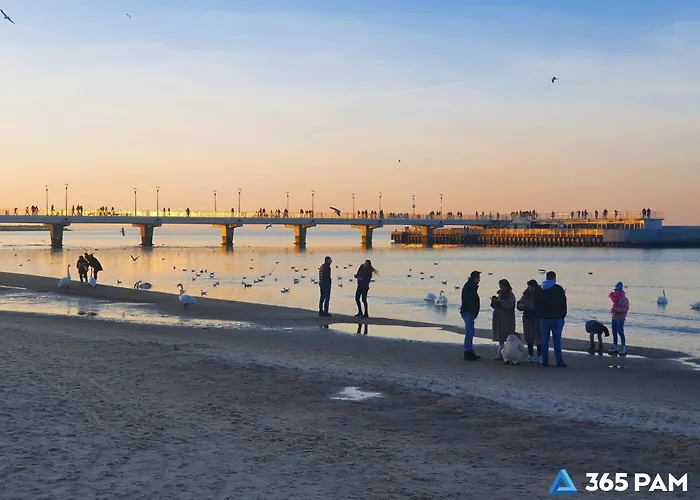 365pam - Nadmorski - Garaz W Cenie Daire